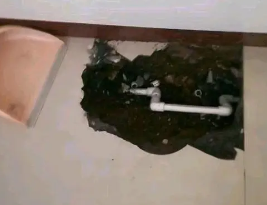 潮南卫生间测漏水多少钱